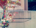 /album/fotogalerie/dragon-filter-jpg/